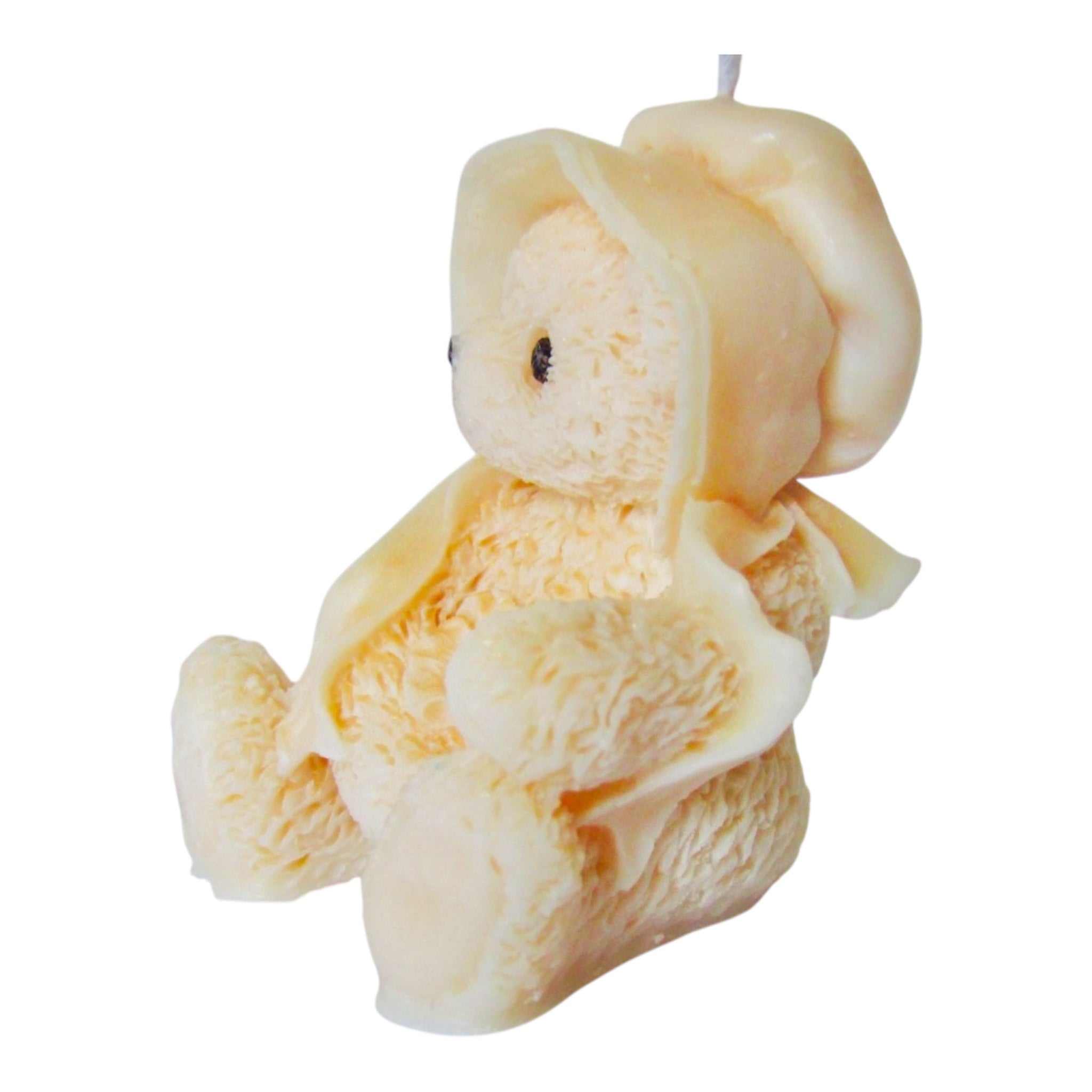 Orsetto di Peluche con Cappuccio